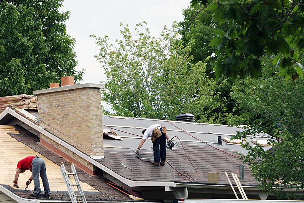 Best Roof Gutter Cleaning  in Pimmit Hills, VA